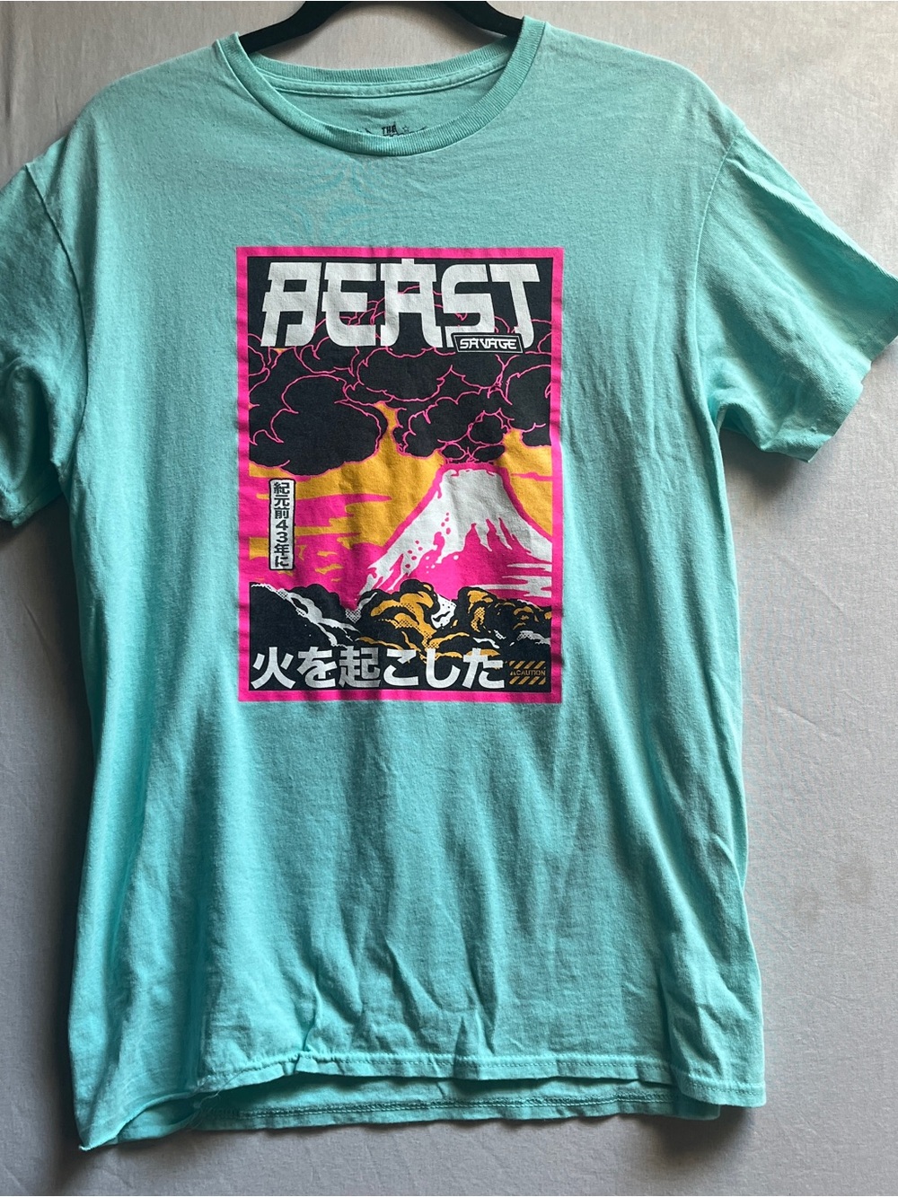 The Young & Wild BEAST Mount Fuji Graphic Tee Aqua Blue T-Shirt Size M